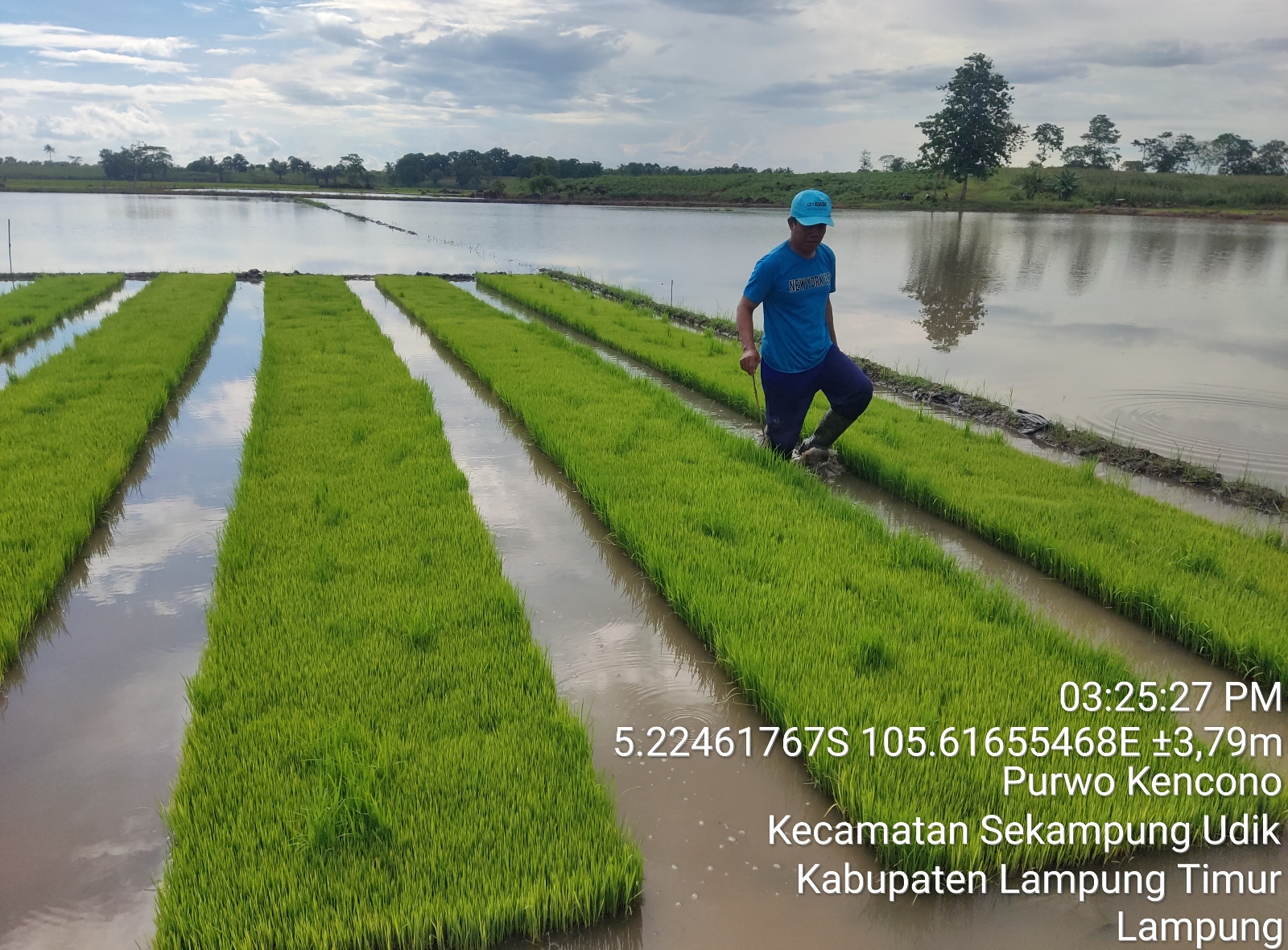 Lampiran Foto Lahan