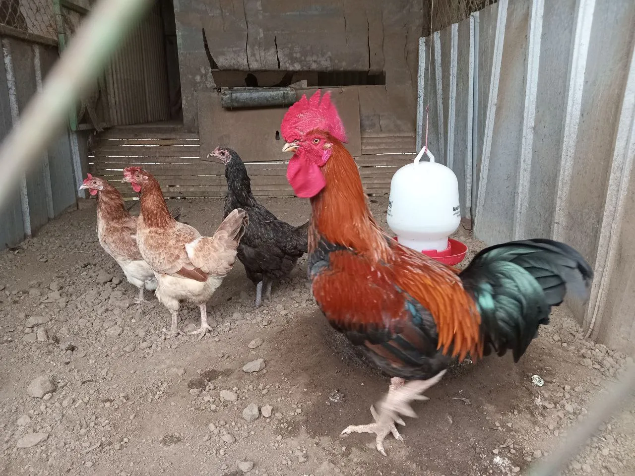 Lampiran Foto Lahan